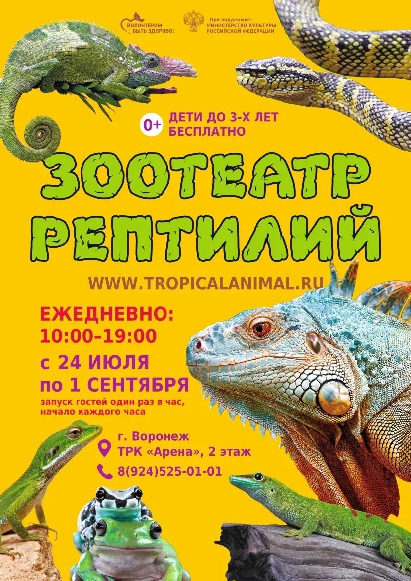 Зоотеатр Рептилий в г.Воронеж ТРК Арена