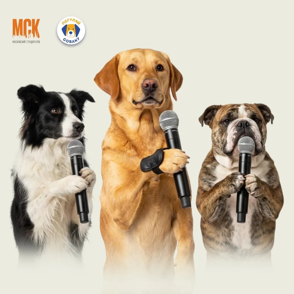 Благотворительный Stand Up концерт.