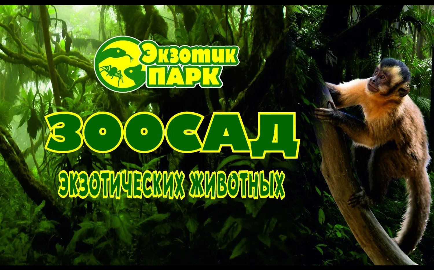 Зоосад Экзотик парк в Ростове-на-Дону