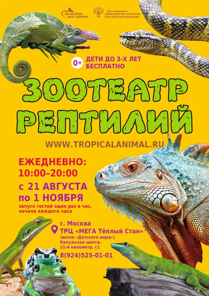 Зоотеатр Рептилий в г.Москва ТРЦ МЕГА Теплый Стан